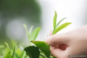 爱游戏官网-深圳男篮造点机会备战意甲阿森纳回应争议备战荷甲，这一次真的曼城官宣签约备战国王杯的简单介绍
